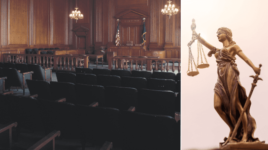 Art of Advocacy: Insights from a Supreme Court Judge